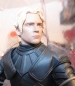 Darkhorse Game of Thrones Brienne of Tarth 20cm figur